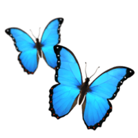 Diseño sin título (54) (1)